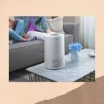 resumediferencia purificadores humidificadores